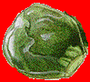 Click here for tons of yummy sprout recipes