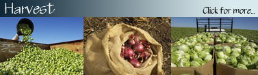Harvesting_Banner