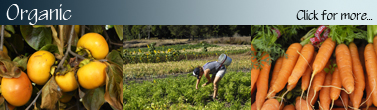 Organic_Banner