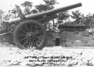 [Japanese artillery on Tarawa Island]