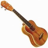 Buy a UKULELE