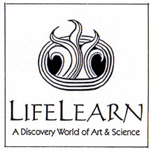 Biolearn Gallery Storyboard