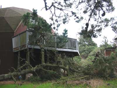 Tree hits porch