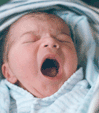 Labor of Love Midwifery Yawning Baby